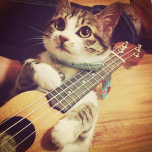 面具会社网页版1
